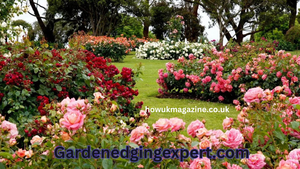 gardenedgingexpert.com/blog